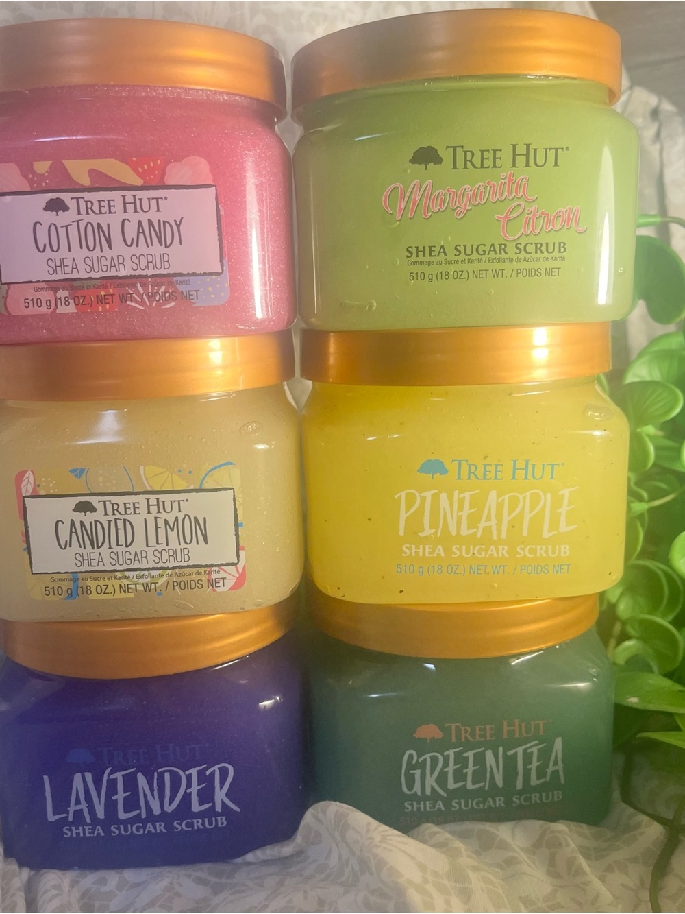Tree Hut Sugar Scrub Bundle (Assorted Scents)